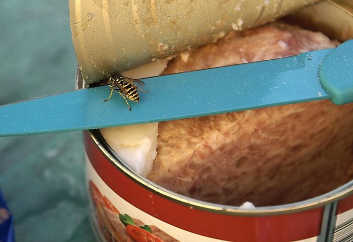 Top 10 canned meat producing countries in the world in 2025