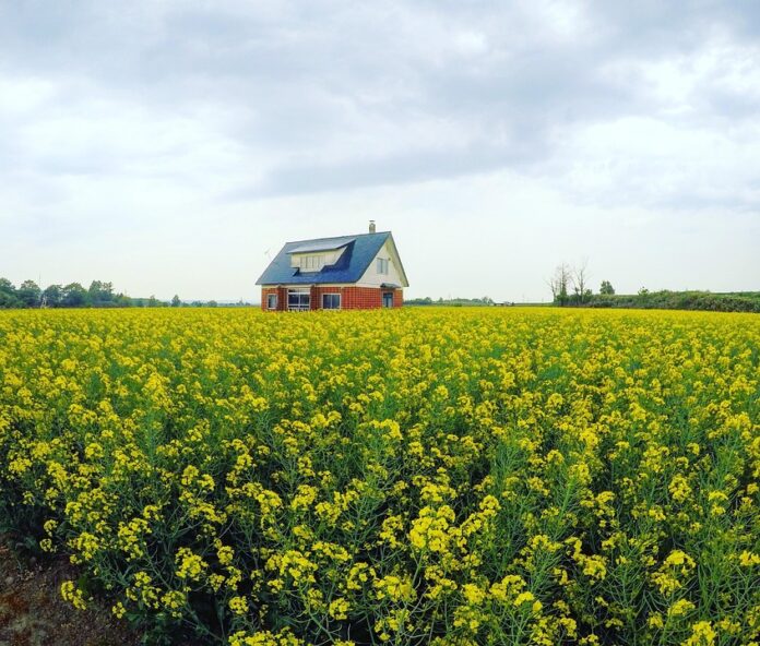Top 10 canola oil import companies in France