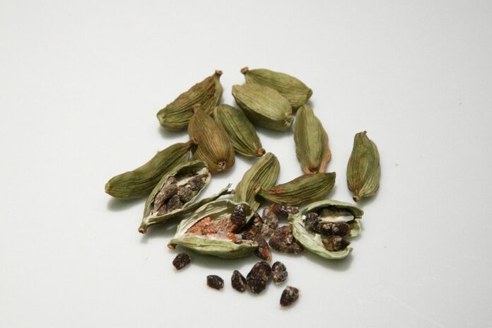 Top 10 cardamom export companies in India