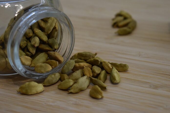 Top 10 cardamom export companies in Nepal