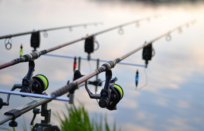 Top 10 carp export companies in China