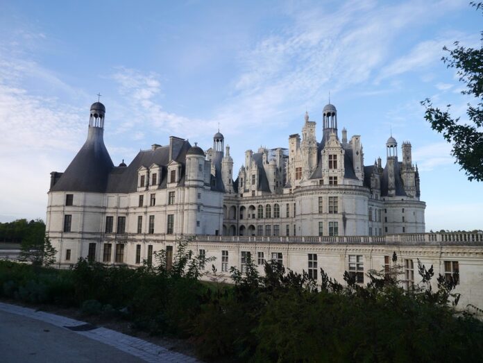 Top 10 chambord companies by market share globally