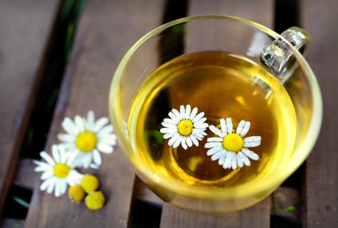 Top 10 chamomile brands in Egypt