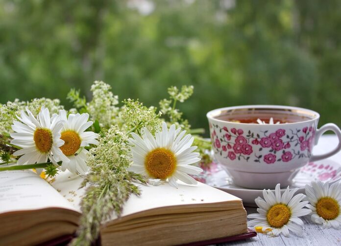 Top 10 chamomile brands in India