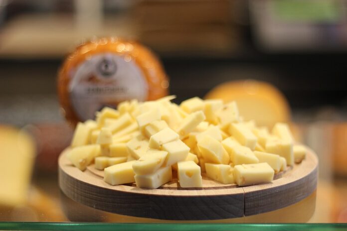 Top 10 cheese powder brands in France
