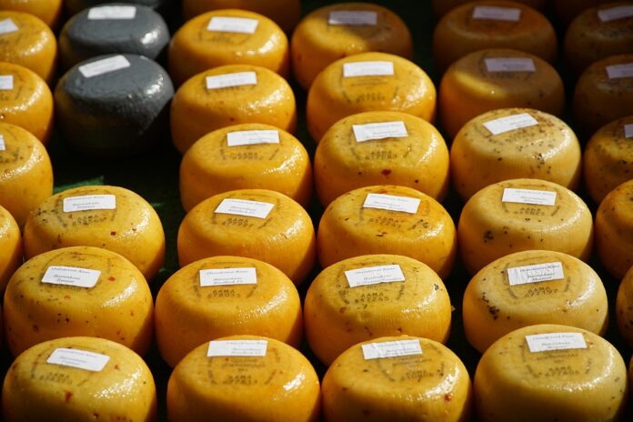 Top 10 cheese powder import companies in China