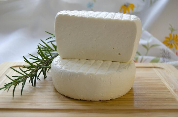 Top 10 cheese powder import companies in Japan