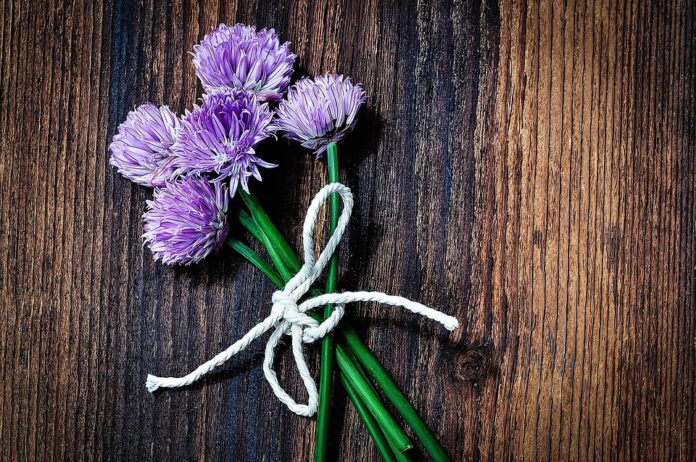 Top 10 chives brands in the United States