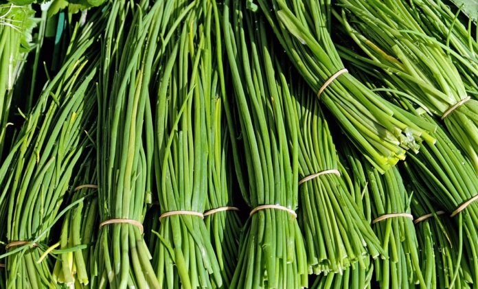 Top 10 chives export companies in China