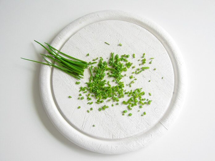 Top 10 chives export companies in France