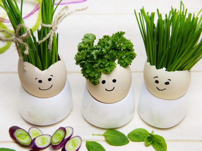 Top 10 chives import companies in Brazil