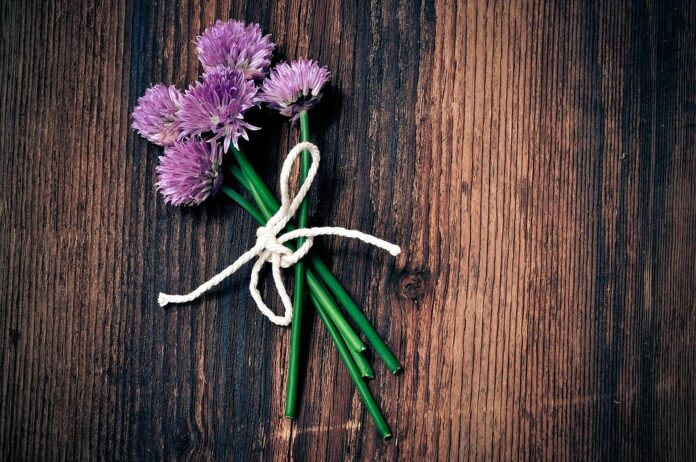 Top 10 chives import companies in Germany