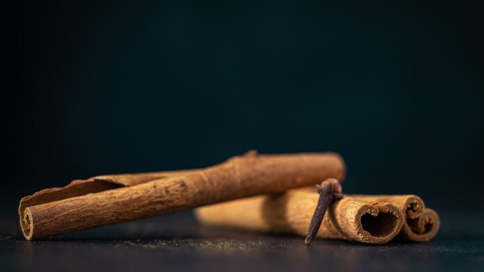 Top 10 cinnamon importing countries in the world in 2025