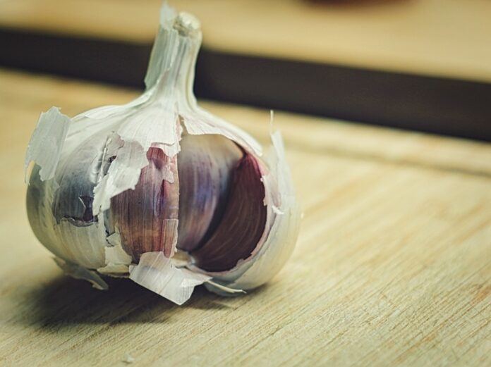 Top 10 clove export companies in Brazil