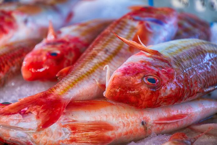 Top 10 cod import companies in France