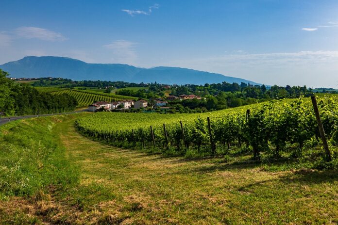 Top 10 cold chain logistics companies for prosecco exports