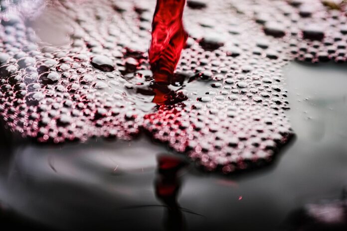 Top 10 conventional wine import companies in South Korea