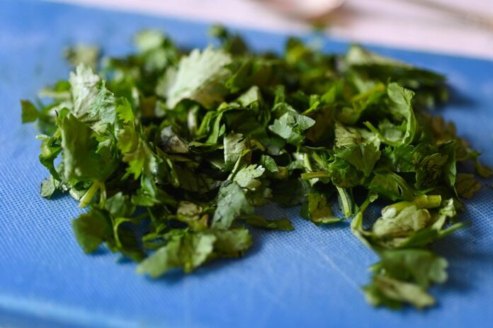 Top 10 coriander cilantro brands in Turkey