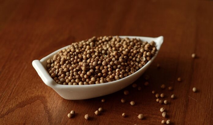 Top 10 coriander cilantro importing countries in the world in 2025