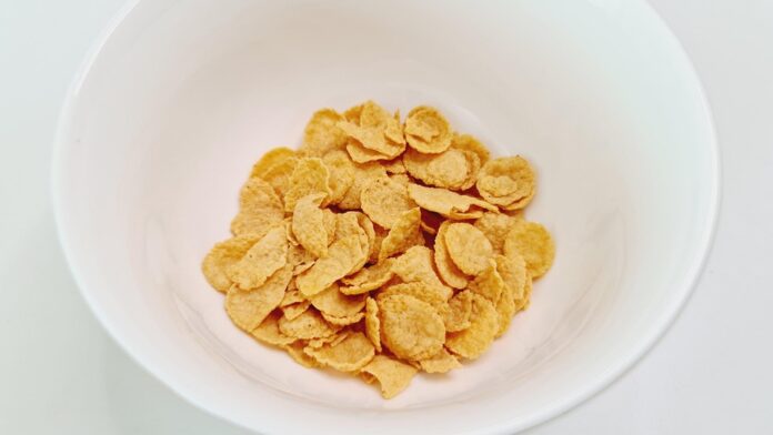 Top 10 cornflakes exporting countries in 2025