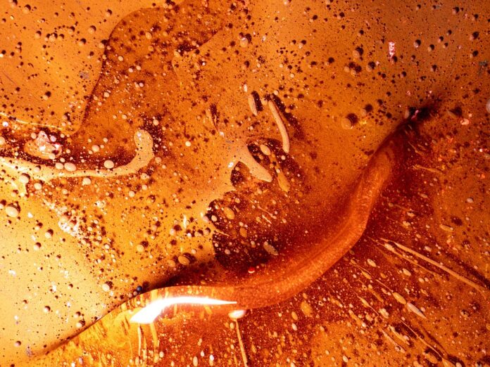 Top 10 countries consuming the most honey per capita