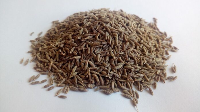 Top 10 cumin leaf export companies in India