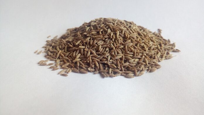 Top 10 cumin leaf export companies in Iran