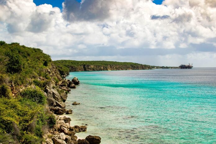Top 10 curaçao companies by revenue in 2025