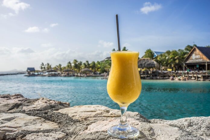 Top 10 curaçao export companies in the Netherlands