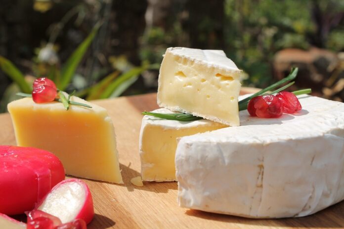 Top 10 dairy packaging export companies in Brazil