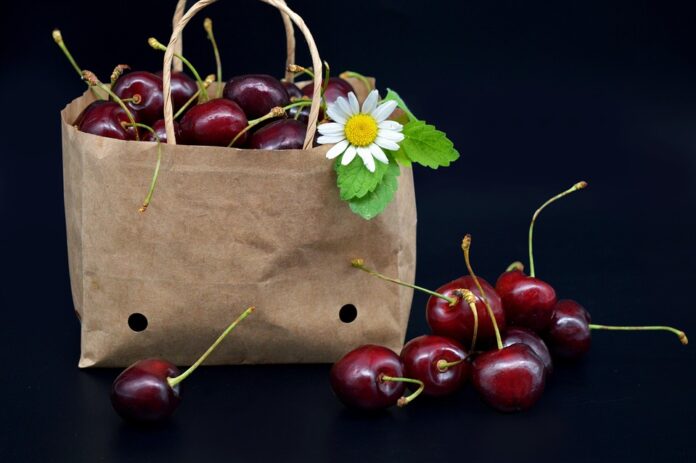 Top 10 eco friendly packaging export companies in Japan
