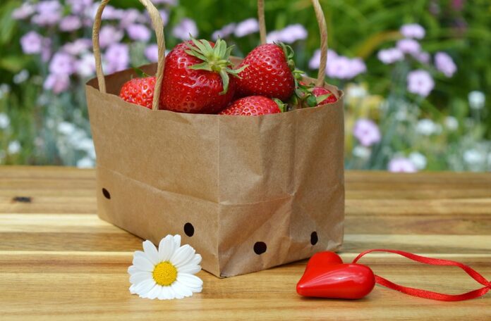 Top 10 eco friendly packaging export companies in United States