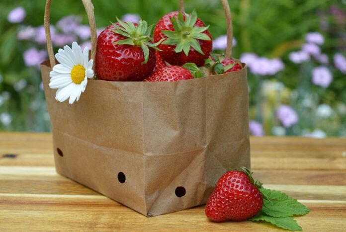 Top 10 eco friendly packaging exporting countries in 2025