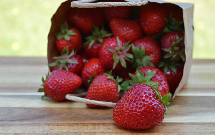 Top 10 eco friendly packaging importing countries in 2025