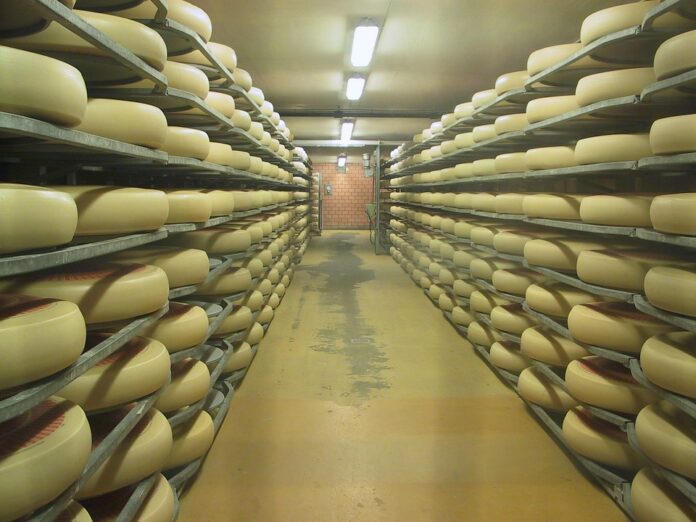 Top 10 emmental cheese import companies in Canada