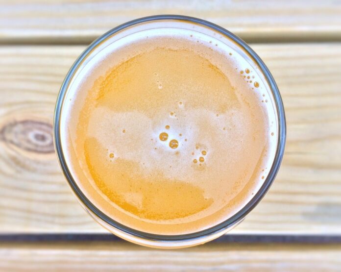 Top 10 fastest growing ale beer brands in 2025