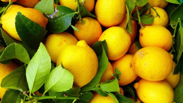 Top 10 fastest growing lemon-lime brands in 2025