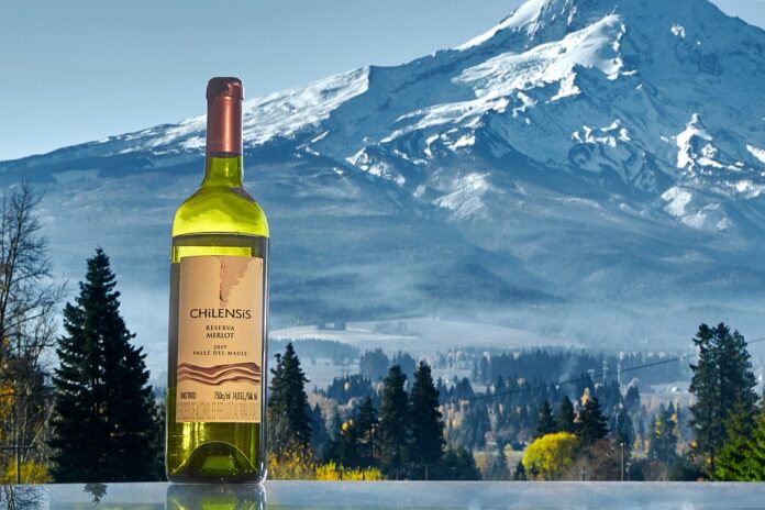 Top 10 fastest growing white wine companies in 2025