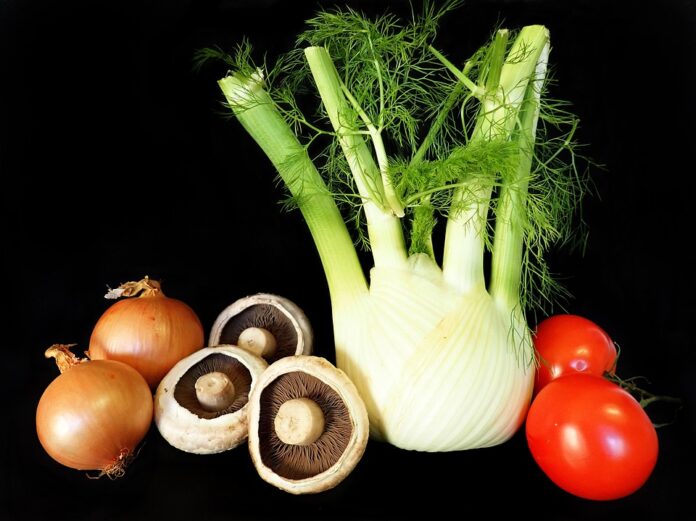 Top 10 fennel import companies in Canada
