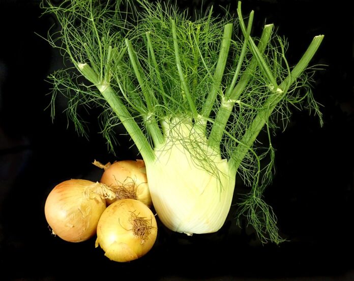 Top 10 fennel import companies in France