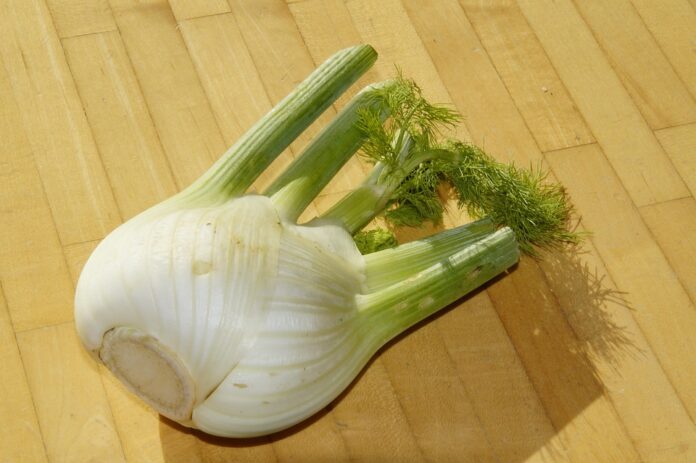 Top 10 fennel import companies in the Netherlands