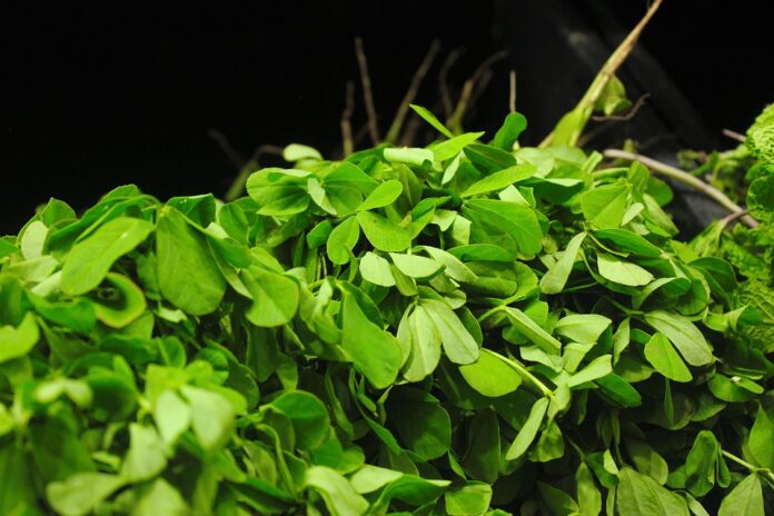 Top 10 fenugreek brands in Ethiopia