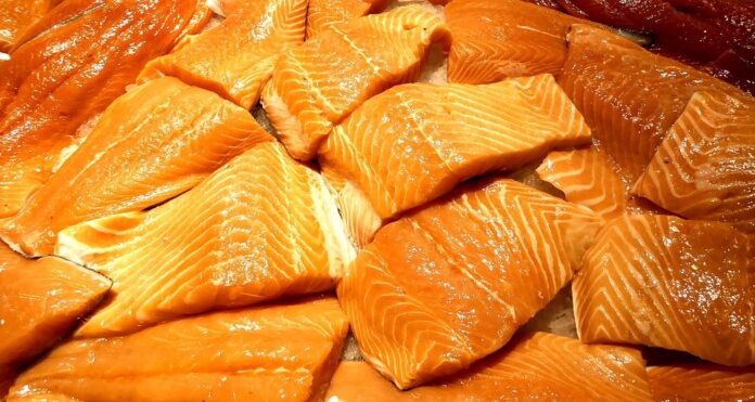 Top 10 fish food producers in China