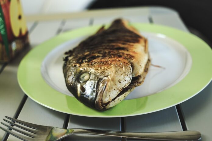 Top 10 fish food producers in France