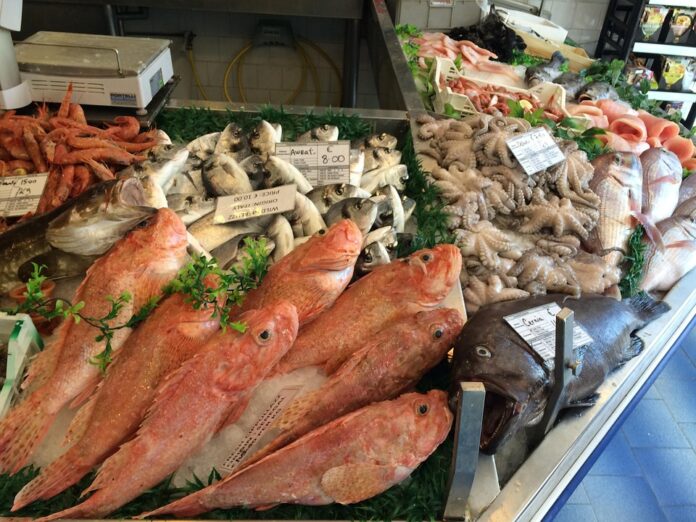 Top 10 fish food producers in Germany