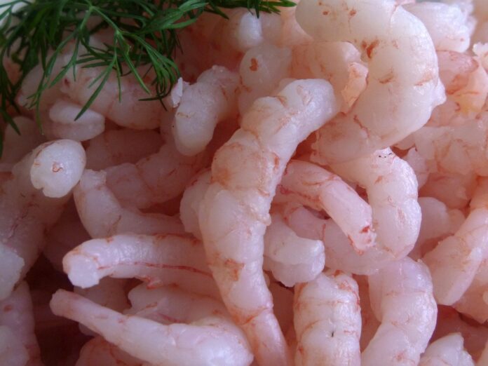 Top 10 fish food producers in Thailand