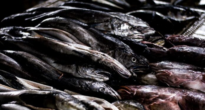 Top 10 fish food producers in the United Kingdom