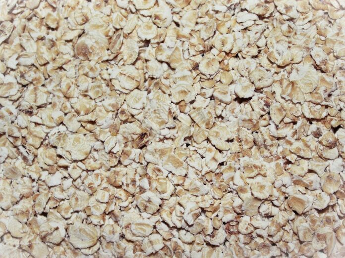 Top 10 flavored oatmeal brands in 2025