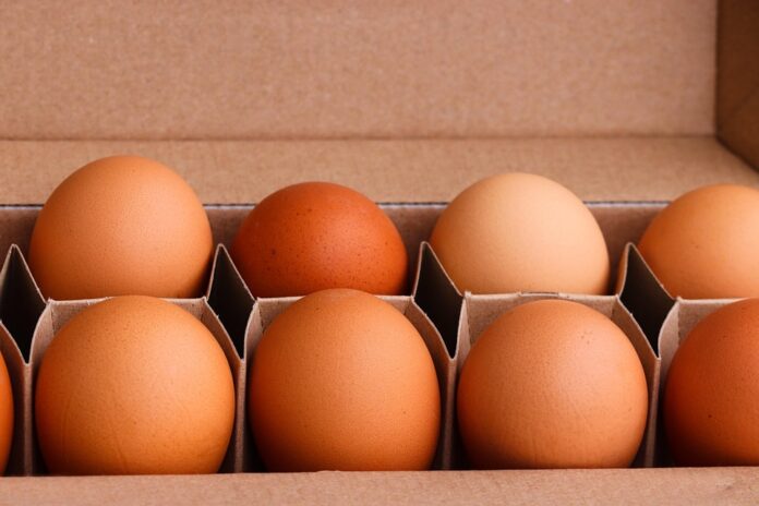 Top 10 food packaging exporting countries in 2025