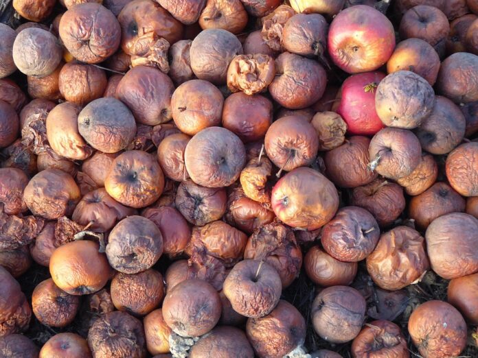 Top 10 fruit brandy producers in the United States